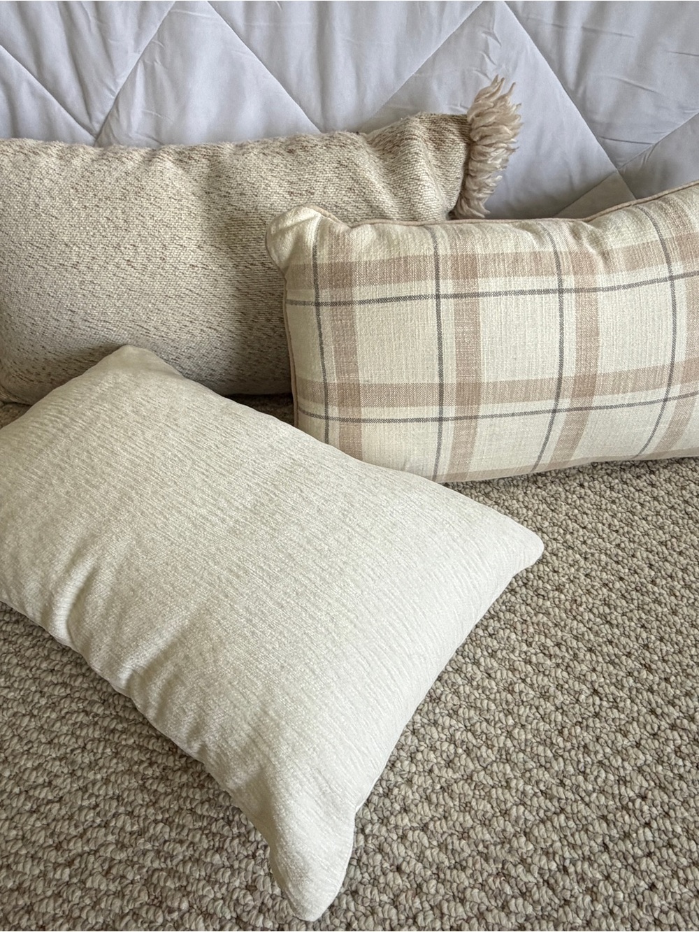 Decorative Throw Pillows